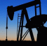 Каллас призвала страны Юго-Восточной Азии не покупать российскую нефть - Online47.Ru