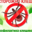 "Горячая линия" по вопросам профилактики клещевого вирусного энцефалита - Салаватский район
