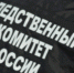 Бастрыкин хочет получить доклад о смерти девочки из-за упавшего дерева в Самаре - ProGorodSamara.Ru