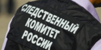 Бастрыкин хочет получить доклад о смерти девочки из-за упавшего дерева в Самаре - ProGorodSamara.Ru