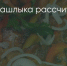Поделитья во ВКонтакте - Братская Студия Телевидения