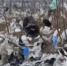 Виновных в мусорном апокалипсисе у полигона "Известковый" наказали - News.Astv.Ru