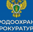 Казанская межрайонная природоохранная прокуратура сообщает! - Сабинский район