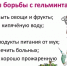 Профилактика гельминтозов - Чусовской городской округ