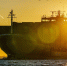 Фото: пресс-служба FESCO | Морские контейнерные перевозки FESCO между Владивостоком и портами Китая в первом квартале выросли на 38% - PrimPress.Ru