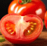 789 - News102.Ru