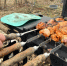 Эталонный шашлык: в чём замариновать мясо, чтобы не было сухаря - Progorod58.Ru