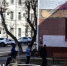 Курганцев просят сообщать о выбросе мусора в неположенных местах - Новый мир