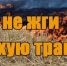 О недопустимости выжигания сухой растительности - Илекский район
