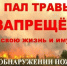 АДМИНИСТРАЦИЯ ФРУНЗЕНСКОГО РАЙОНА ИНФОРМИРУЕТ - Город Владимир