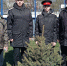Питомник ВГЛТУ подарил голубые ели Аллее Героев Михайловского кадетского корпуса - Обозреватель.Врн