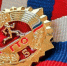 710 тамбовчан получили золотые знаки отличия ГТО - OnlineTambov.Ru