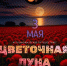 Астраханцев приглашают насладиться видом Цветочной луны - Астрахань 24