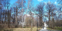 Второй этап благоустройства Центрального парка культуры и отдыха начнут в начале 2027 года - RyazPressa.Ru