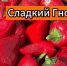 Пермский предприниматель на маркетплейсе предлагал к реализации сорта томатов и сладкого перца, не включённые в Госреестр - Россельхознадзор