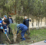 В Дагестане завершили сезон субботников на объектах Минобороны - Юг России