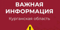 Занятия второй смены в школах Курганской области организованы с применением дистанционных образовательных технологий. - Администрация г. Шадринска