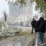 REGIONS/Елена Фурман - MosRegToday.Ru