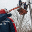 Информация по отключениям света на 29 апреля - Калининский район