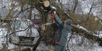 1 - Сетевое издание Неделя в округе