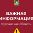 Важная информация. - Щучанский муниципальный округ