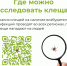 Профилактика клещевого вирусного энцефалита. - Щучанский муниципальный округ
