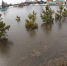В Барнауле вода в Оби поднялась за сутки на полметра Фото №1 - Алтайская правда