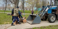 Грайворонцы продолжили ликвидацию последствий урагана - Сетевое издание Родной край 31