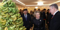 О сроках первого урожая и высадке более 80 тысяч саженцев бананов рассказал глава Невинномысска - Bloknot-Stavropol.Ru