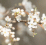 Фото: ПАИ - InformPskov.Ru