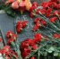 30 апреля оренбуржцы возложат цветы к памятнику «Детям войны» - Администрация города