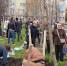 На Советской площади Воронежа высадили деревья в честь артистов театров - ГТРК Воронеж
