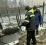 В Мурманске из канализационного люка спасли собаку - Мурманский вестник