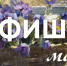 Афиша мероприятий Тверской областной картинной галереи на май 2026 года - Областная картинная галерея