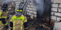 Около 200 собак погибли при пожаре в Ленинском районе Нижнего Новгорода - Newsroom24.Ru