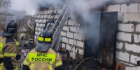 До 200 собак могли погибнуть при пожаре в Нижнем Новгороде - ProGorodNN.Ru