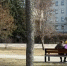 Снижение уровня загрязнения зафиксировано в городах-участниках федерального проекта «Чистый воздух» в Приангарье - Сибирские новости