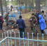 Спасатели в Коми привели в порядок захоронение ветерана Великой Отечественной войны - Pro Город Ухта