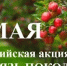 Высаживаем сады – приближаем Победу - Общественная палата