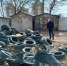 «Кто несет сюда покрышки — сами разбирайтесь!» - Gorod48.ru