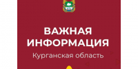 Занятия второй смены в школах Курганской области организованы с применением дистанционных образовательных технологий. - Шатровский муниципальный округ