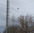 Интерактив: Кирпич на проводах в Черехе - Pln-Pskov.Ru