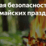 МЧС России призывает соблюдать правила безопасности в майские праздники - Наровчатский район