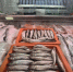 В Ульяновской области производство рыбной продукции выросло на 23,3 % - Комсомольская правда