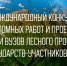 В Петрозаводском государственном университете проводятся исследования по повышению продуктивности сеянцев для восстановления лесов - ПетрГу