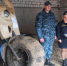 Приставы конфисковали у нижегородца болотоход и отправили его на СВО - фото 1 - vGorodeN.Ru