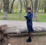 «Зайчик, живи, пожалуйста»: школьницу, на которую рухнуло дерево, до последнего пытались спасти - КТВ-ЛУЧ