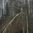 Новости округа - Город Талдом