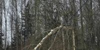 Новости округа - Город Талдом