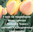 В Тетюшах состоится праздничная программа «Мир! Труд! Май!» - Газета Тетюшские зори